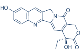 10-Hydroxycamptothecin Structure