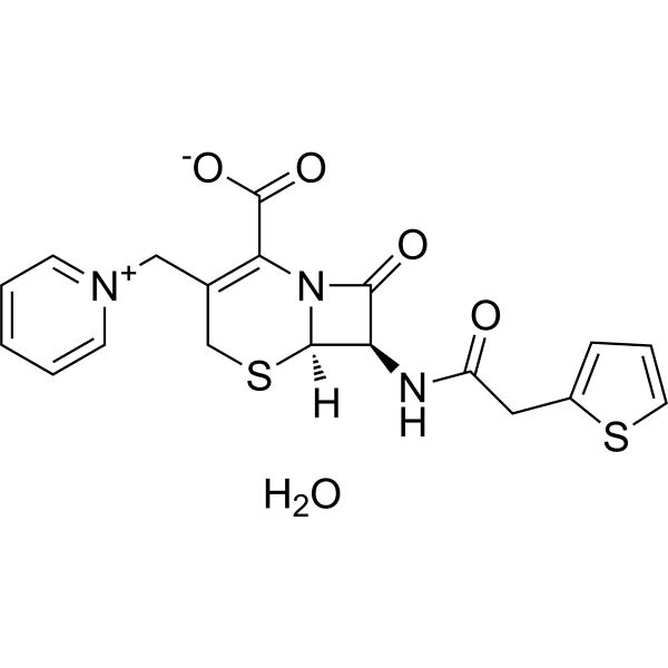 Cephaloridine hydrate Structure