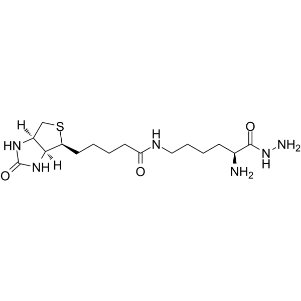 Biocytin hydrazide  Structure