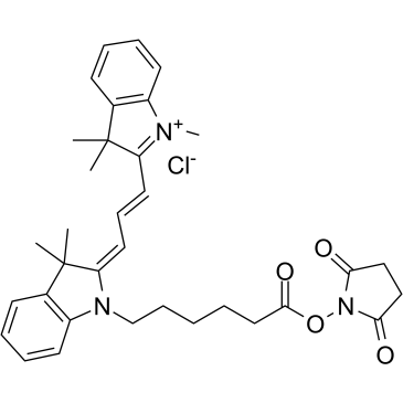 Cy3 NHS ester Structure