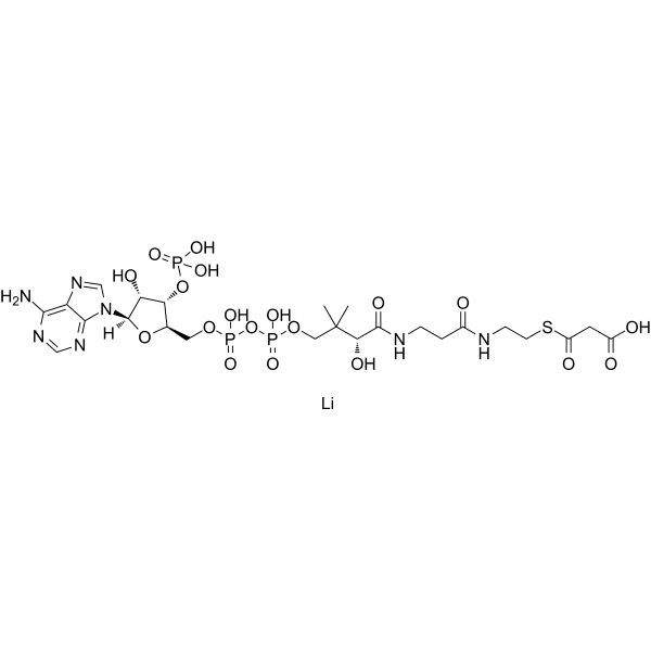 Malonyl CoA lithium Structure