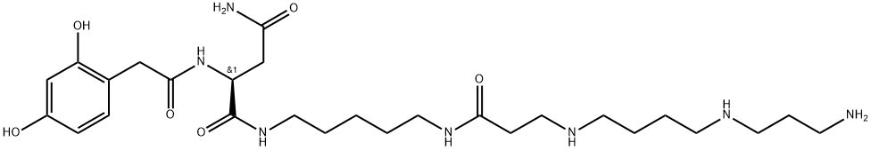 Lactoferrin Structure