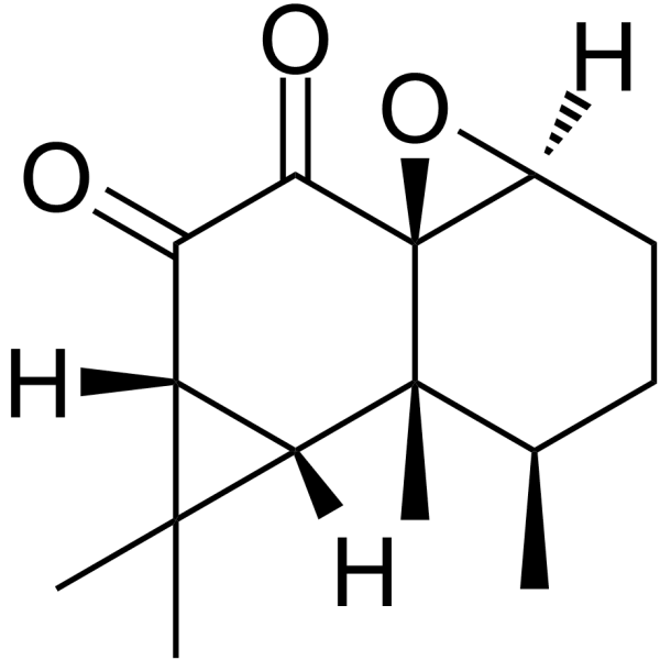 Kanshone C Structure