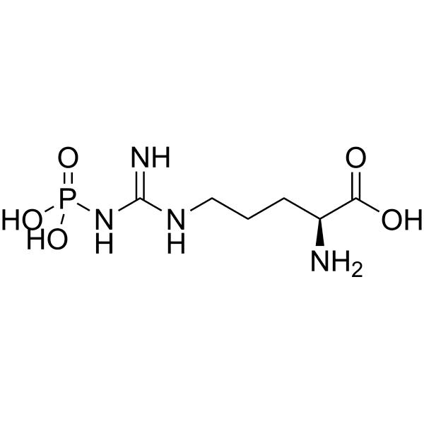 Phospho-L-arginine Structure