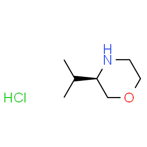 (R)-3-(1-Methylethyl)-morpholineHCl  Structure