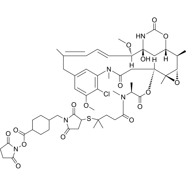 DM4-SMCC  Structure