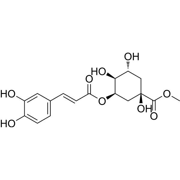 Neochlorogenic acid methyl ester Structure