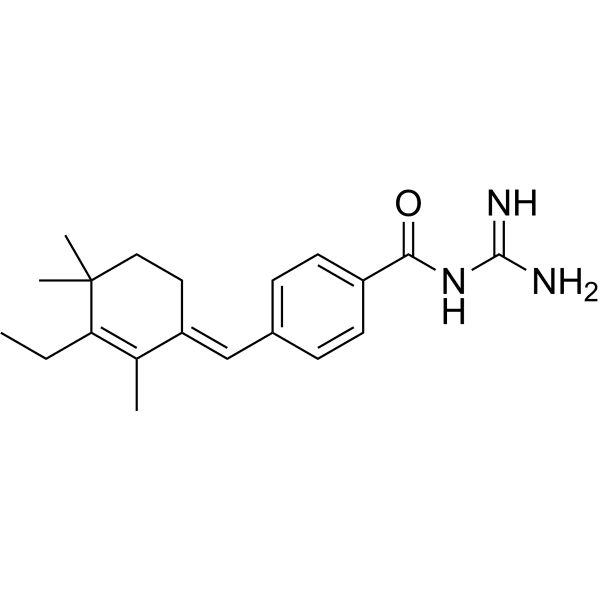 Magmas-IN-1 Structure