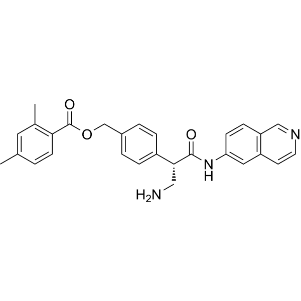 Netarsudil Structure