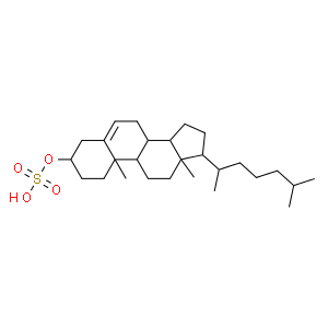 Cholesterol sulfate  Structure
