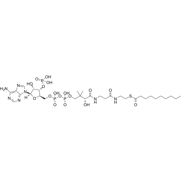 Decanoyl coenzyme A Structure