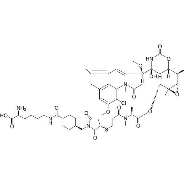Lys-SMCC-DM1 Structure