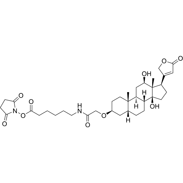 Digoxigenin NHS ester Structure