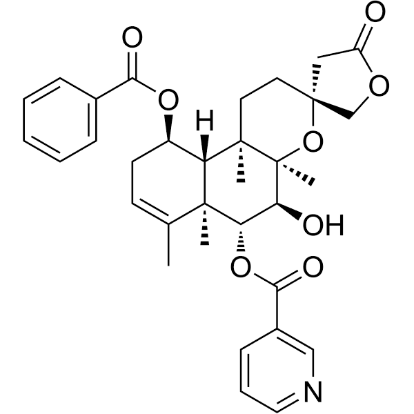 Scutebarbatine W Structure