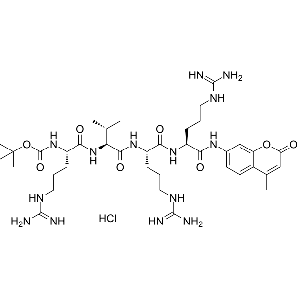 Boc-Arg-Val-Arg-Arg-AMC hydrochloride Structure