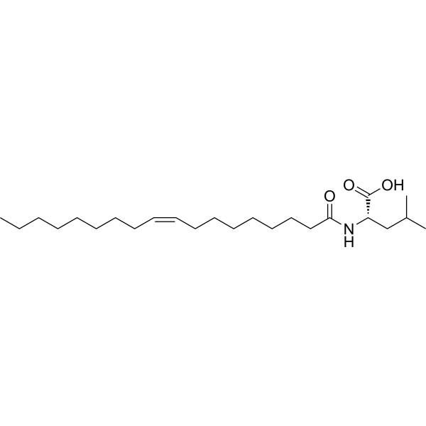 N-Oleoyl leucine Structure
