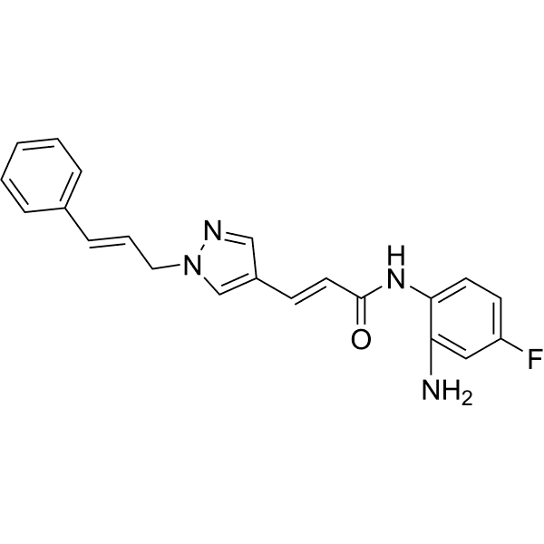 (E,E)-RGFP966 Structure