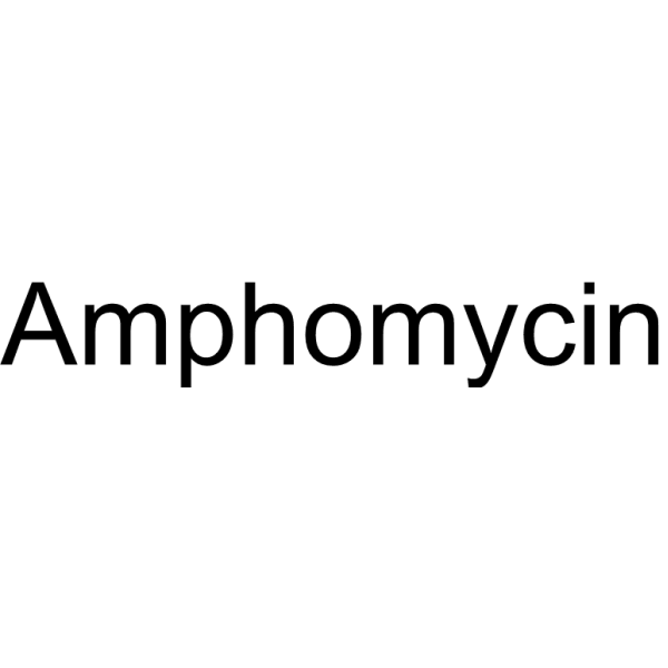 Amphomycin Structure