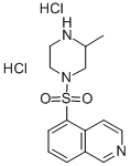 Iso-H7 dihydrochloride Structure