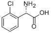 (S)-2-Amino-2-(2-chlorophenyl)acetic acid Structure