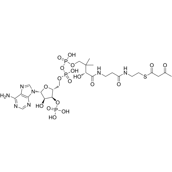 Acetoacetyl-CoA Structure