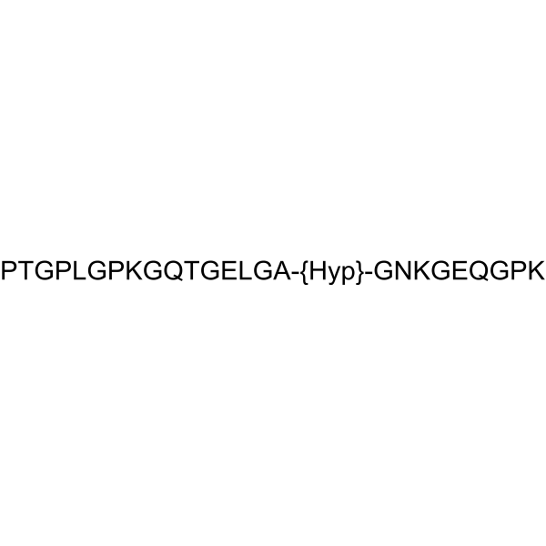 Collagen Type II Fragment Structure