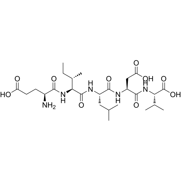 EILDV (human, bovine, rat) Structure