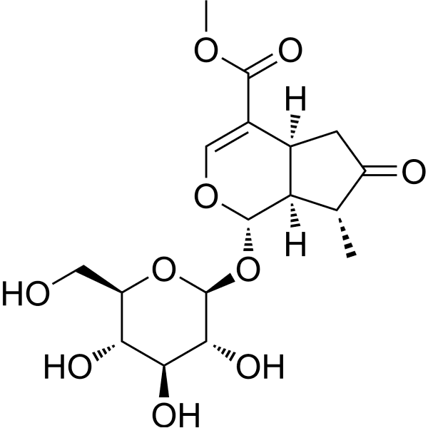 7-Ketologanin Structure