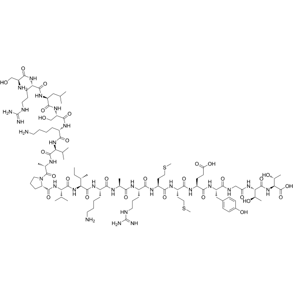 GAD65 (524-543) Structure