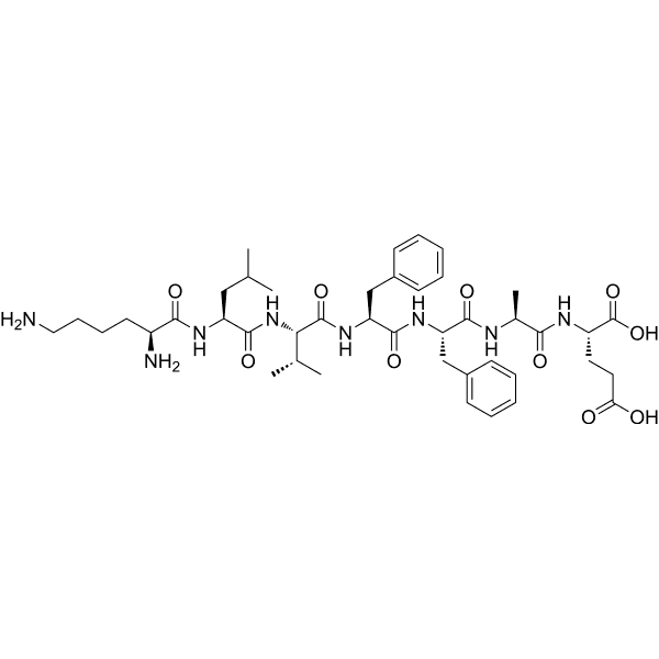 Amyloid β-Protein (16-22) Structure