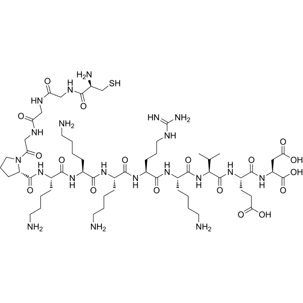 SV40 large T antigen NLS Structure