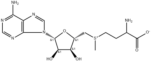 S-Adenosyl-L-Methtonine Structure