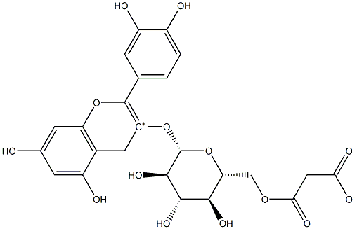 Cyanidin-3-O-(6''-malonylglucoside) chloride Structure