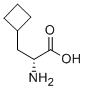 (R)-2-amino-3-cyclobutylpropanoic acid Structure