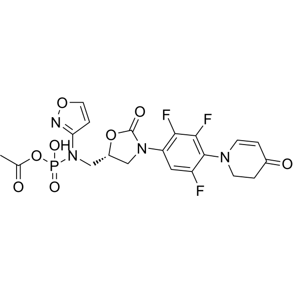 Contezolid acefosamil Structure