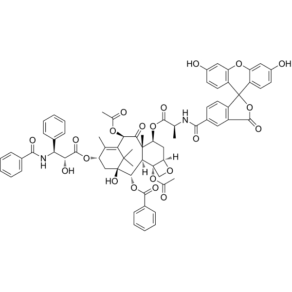 Flutax 1 Structure