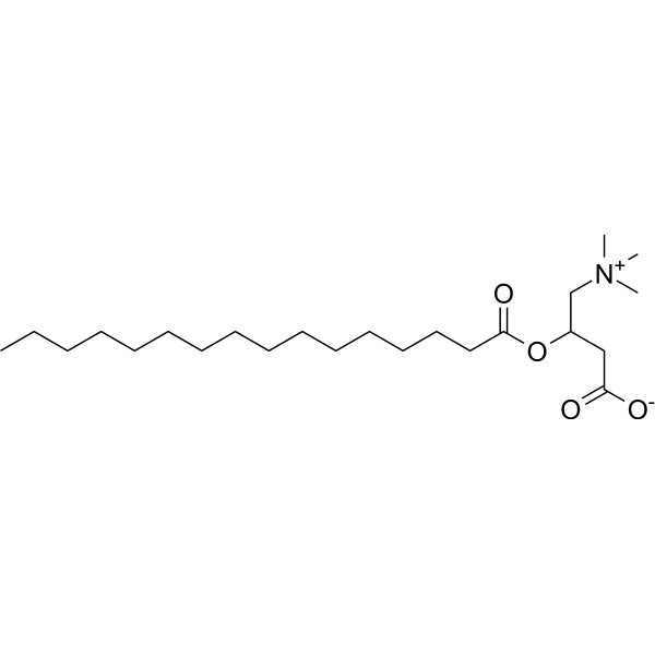Palmitoylcarnitine  Structure