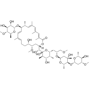 Apoptolidin Structure