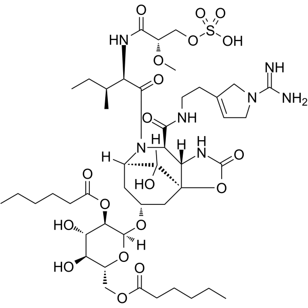 Suomilide  Structure