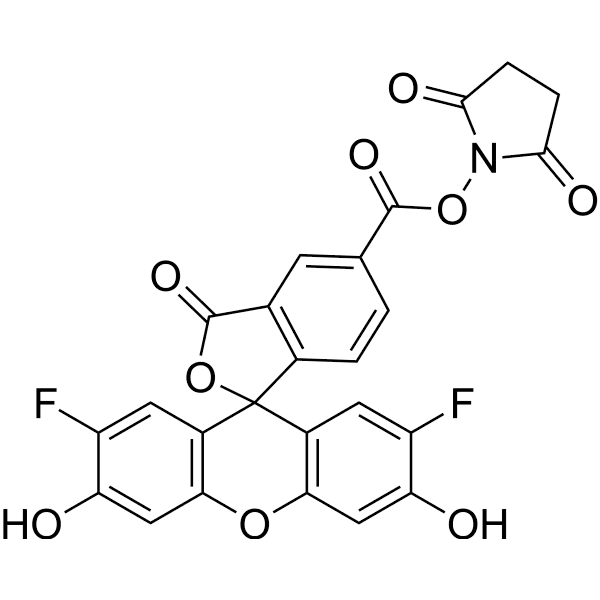 OG 488, SE Structure