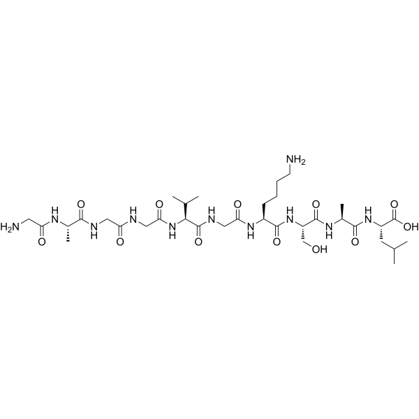 GAGGVGKSAL Structure