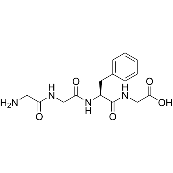 Gly-Gly-Phe-Gly Structure