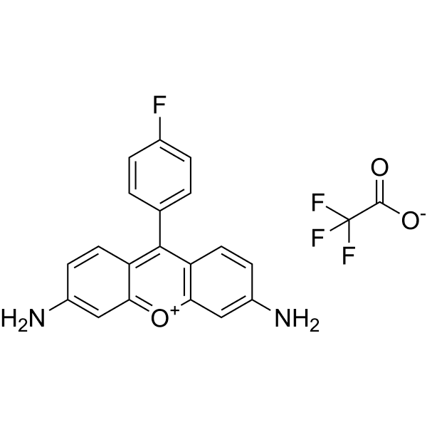 Kyoto probe 1 Structure