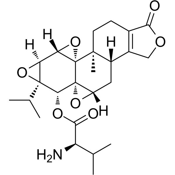 WBC100 Structure