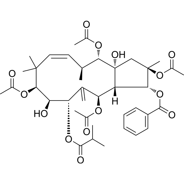 Jatrophane 4 Structure