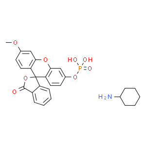 3-O-Methylfluorescein Phosphate Cyclohexylammonium Salt  Structure