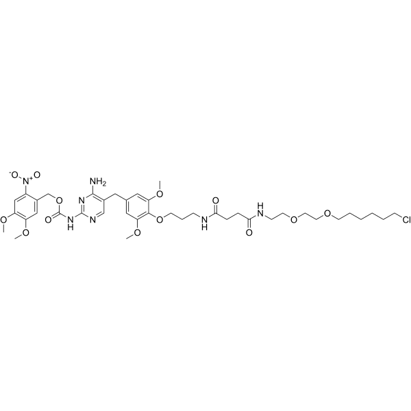 NVOC cage-TMP-Halo Structure
