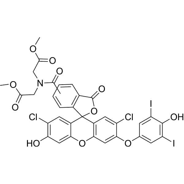 HKOH-1r Structure