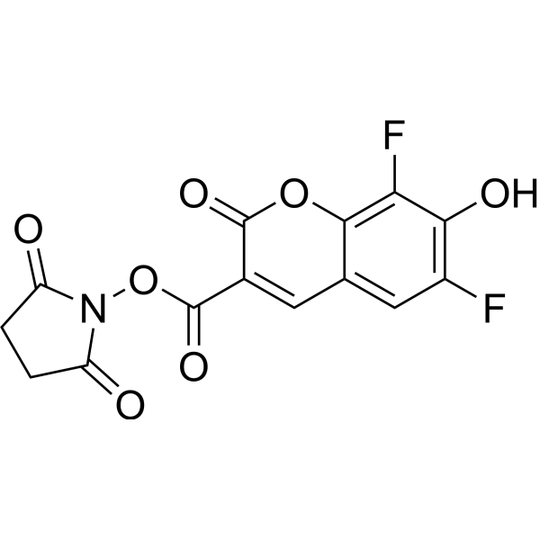 PB succiniMidyl ester Structure