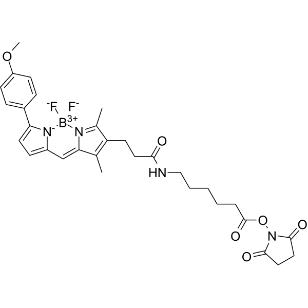 BODIPY TMR-X SE  Structure